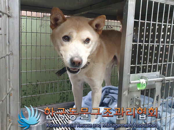 한국동물구조관리협회_441559202301211