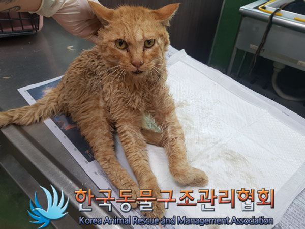 종료(자연사) 한국…