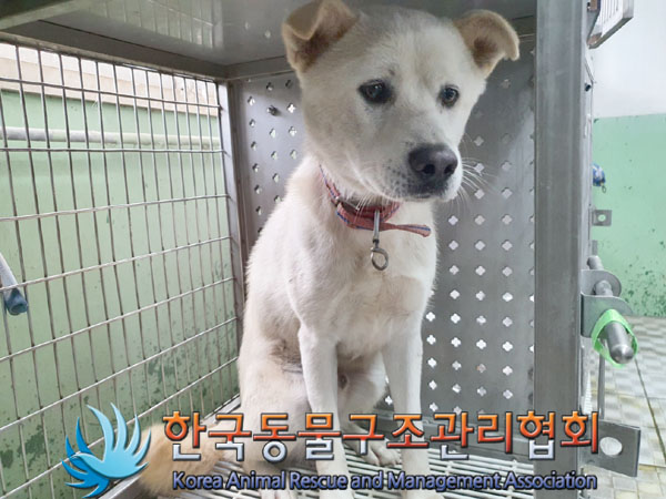 한국동물구조관리협회_441406202301788