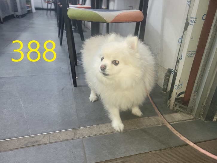 신영재동물병원_428355202300612