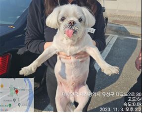 대전동물보호센터_430367202300686