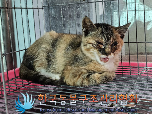 한국동물구조관리협회_441560202301472