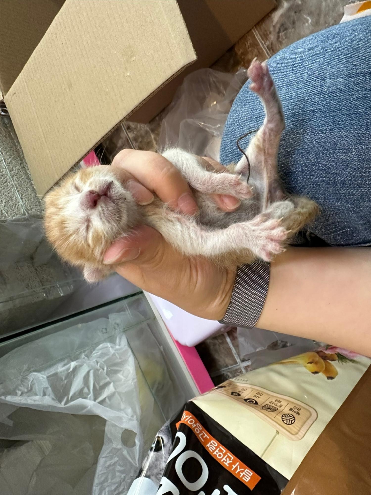 대한동물사랑협회_446482202301131