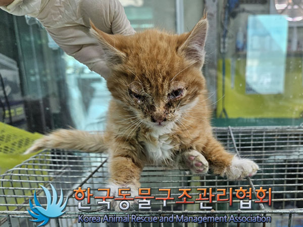 한국동물구조관리협회_441560202301474