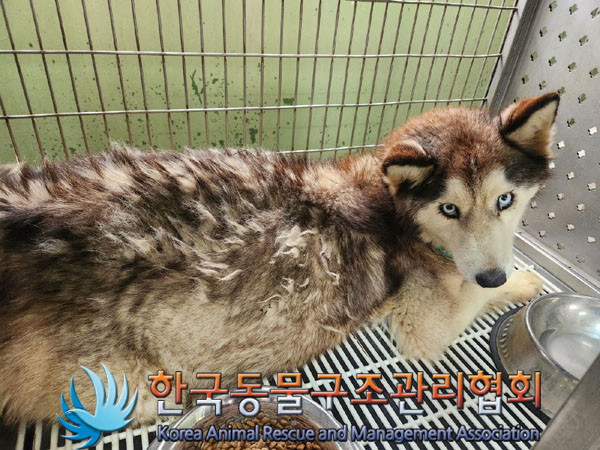 한국동물구조관리협회_441559202301213
