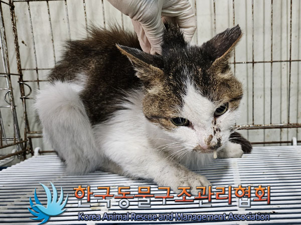 한국동물구조관리협회_411316202300839