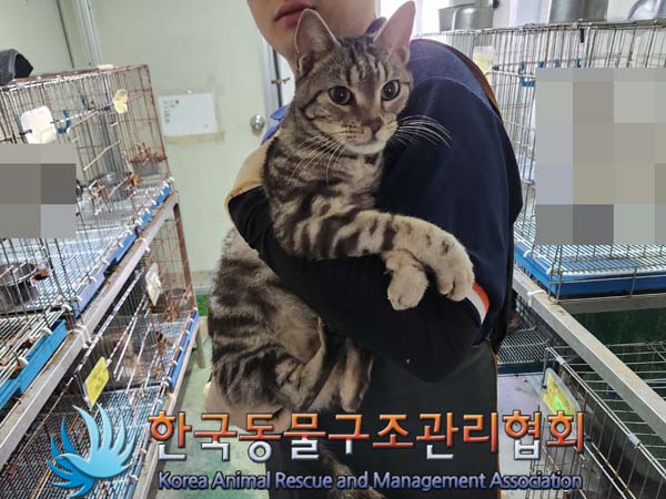 한국동물구조관리협회_411305202300577