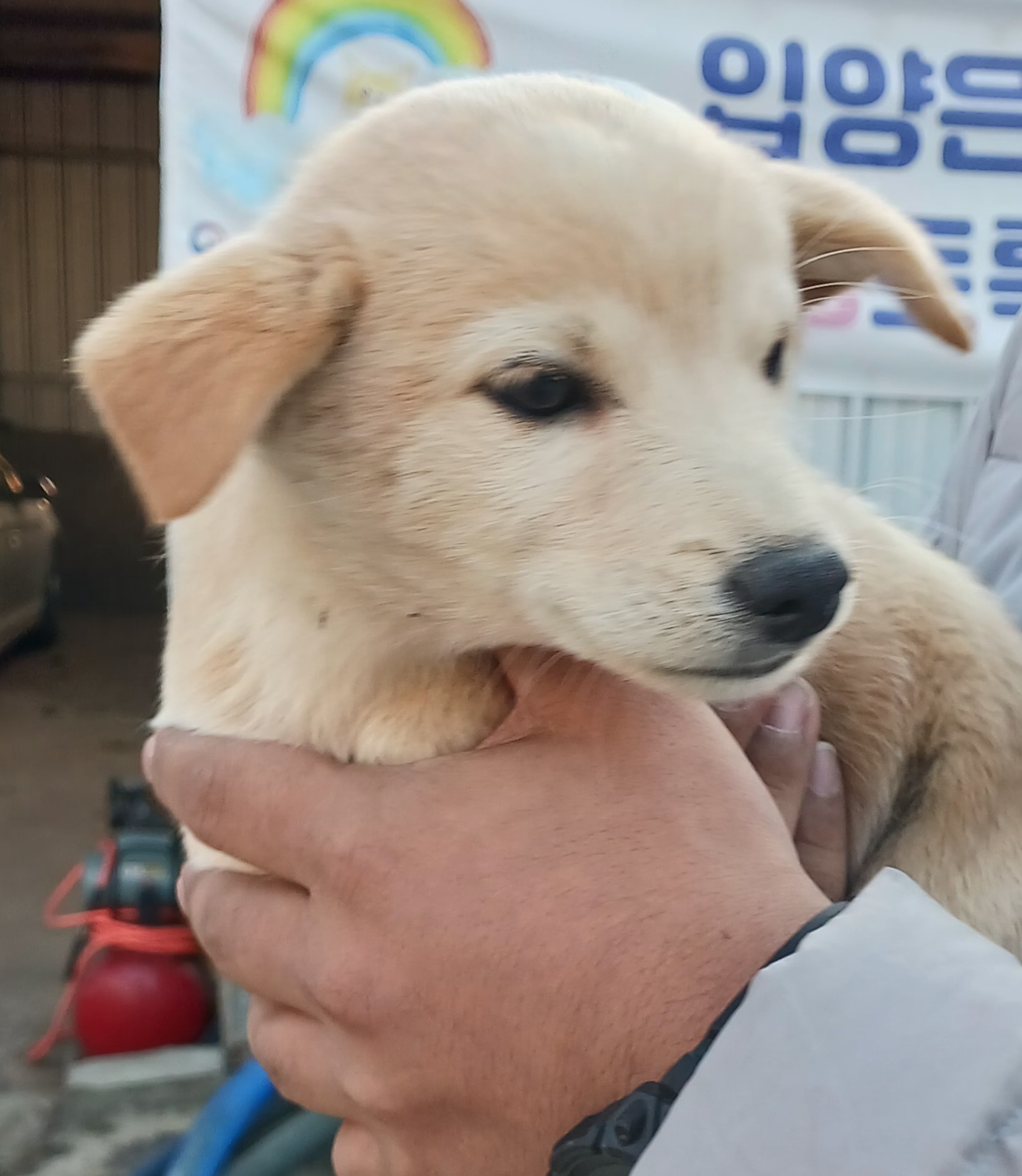 상주시 동물보호센터_447511202301065