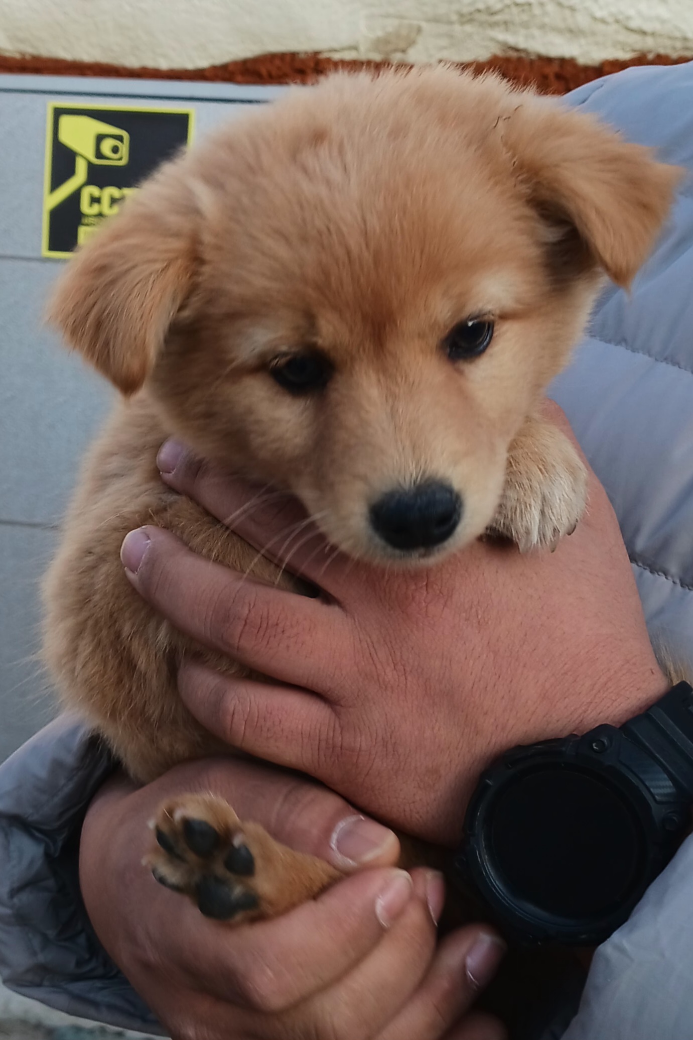 상주시 동물보호센터_447511202301064