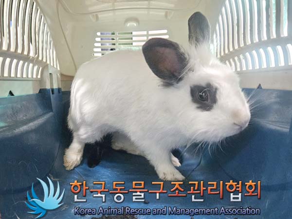 한국동물구조관리협회_411310202300555
