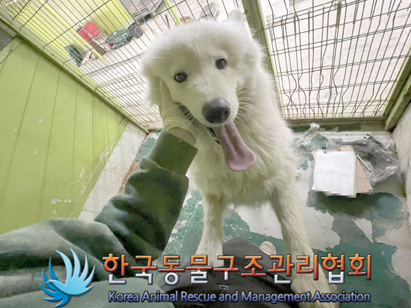 한국동물구조관리협회_441559202301218