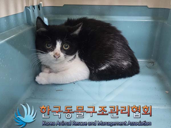 한국동물구조관리협회_411312202300729