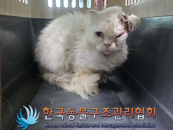 한국동물구조관리협회_441392202300247
