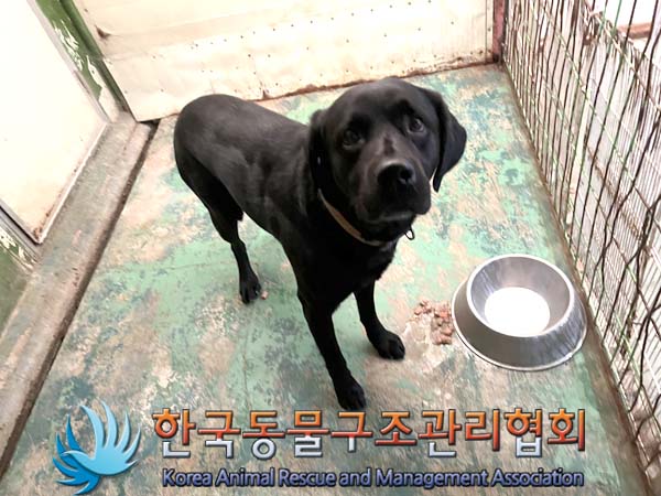 한국동물구조관리협회_411322202300824