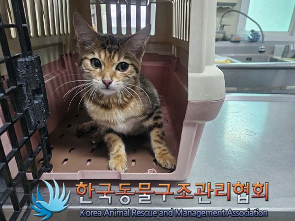 한국동물구조관리협회_441409202301882