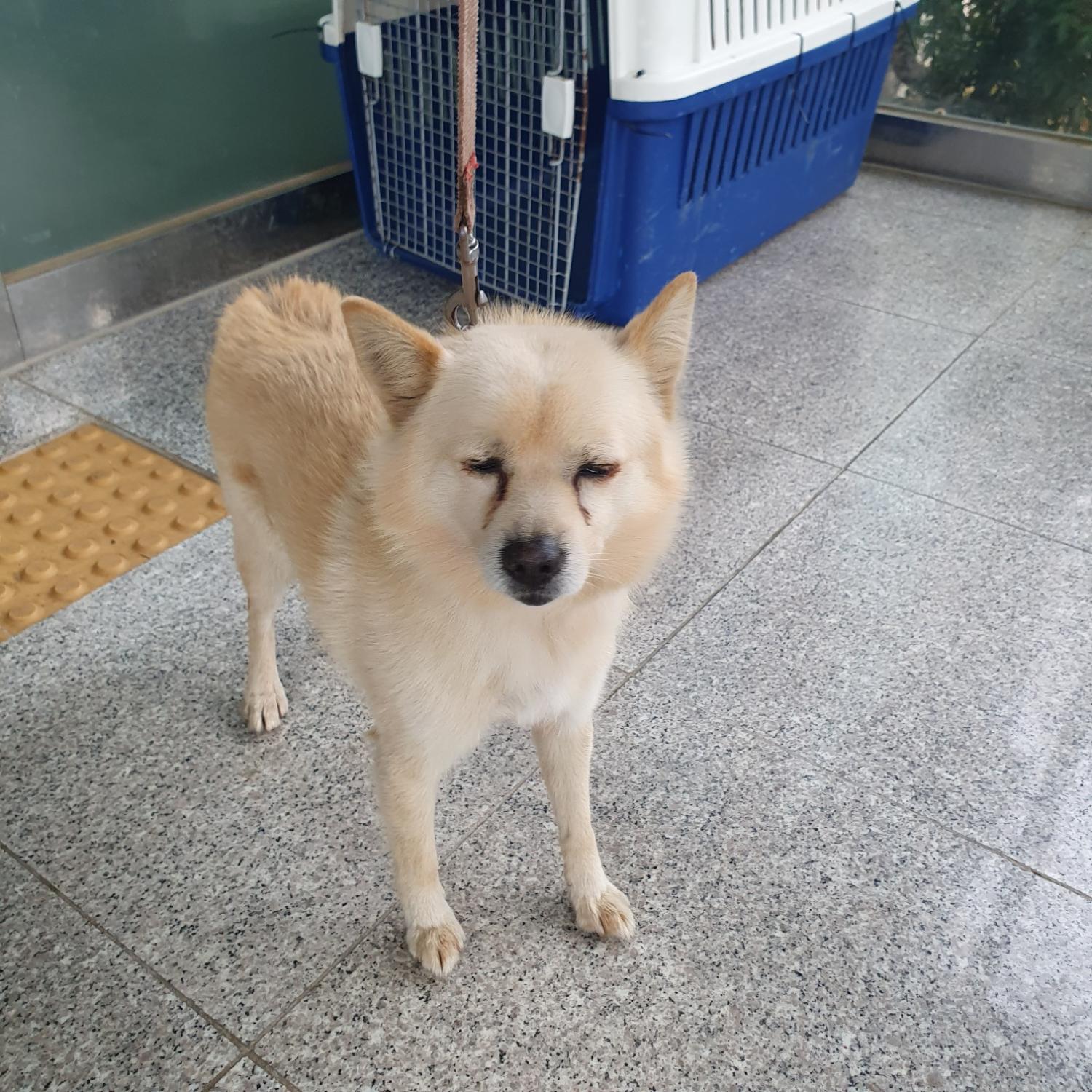 구미시 동물보호센터_447508202300989