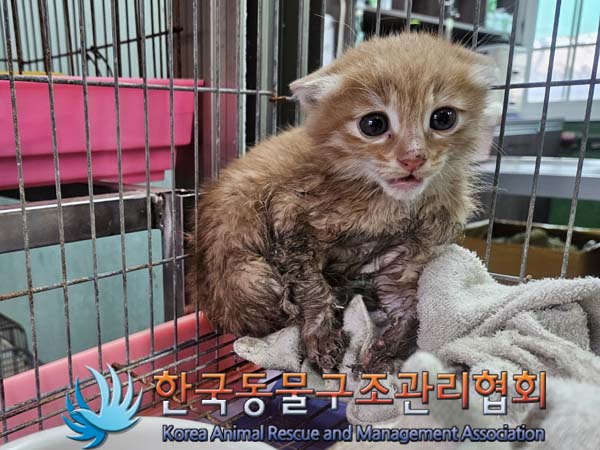 한국동물구조관리협회_441409202301881