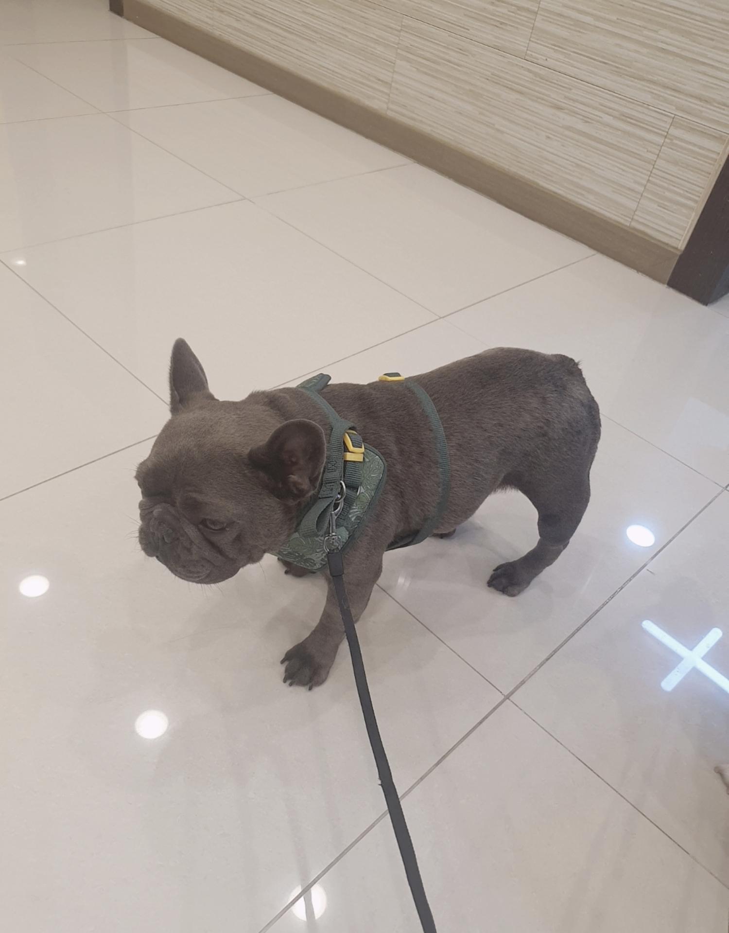 경주동물사랑보호센터_447505202301131