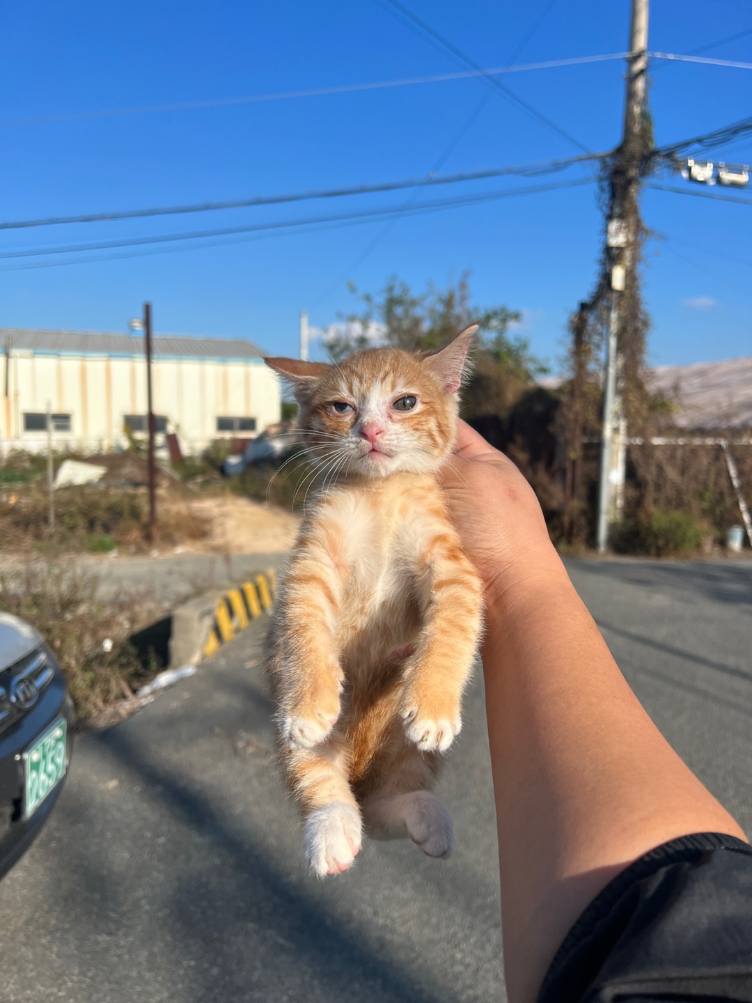 종료(입양) 한국 …