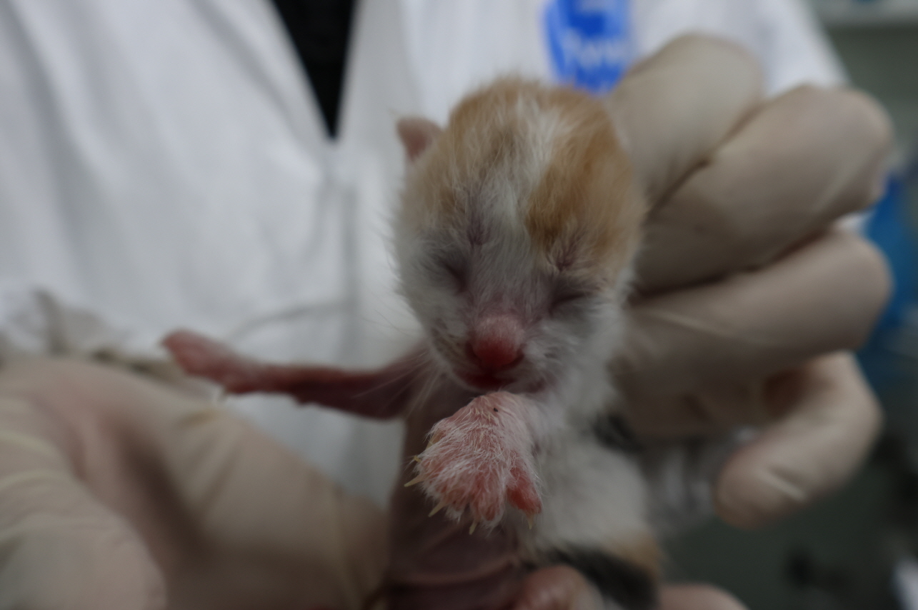 제주 동물보호센터_450650202303930
