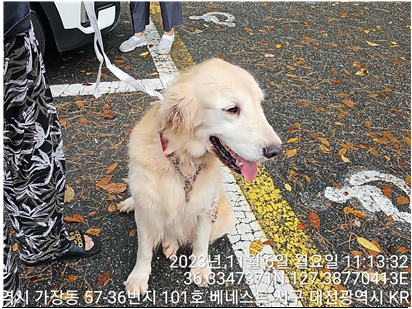 대전동물보호센터_430366202300643