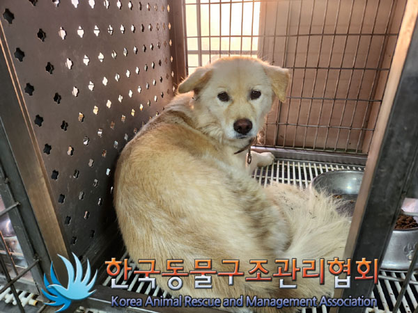 한국동물구조관리협회_441560202301482