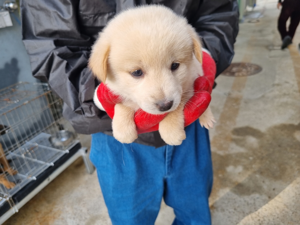 양산시 동물보호센터_448538202300714