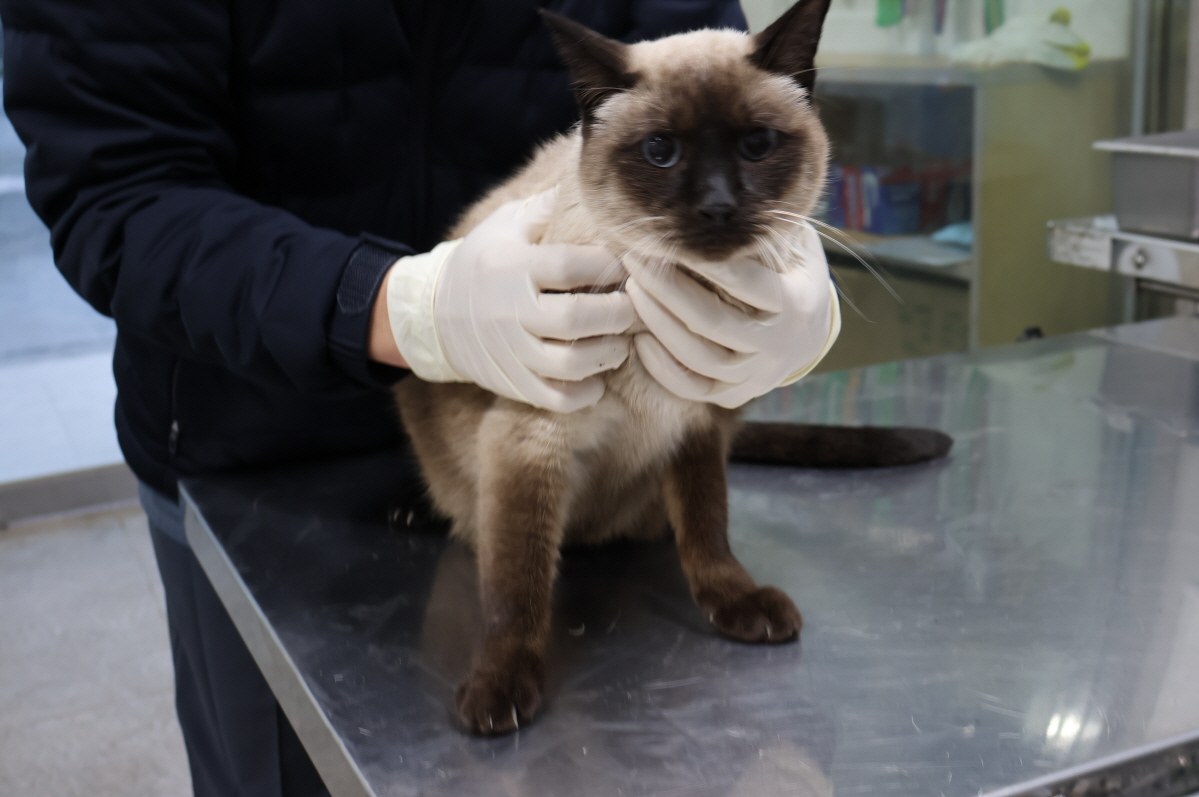 제주 동물보호센터_450650202303941