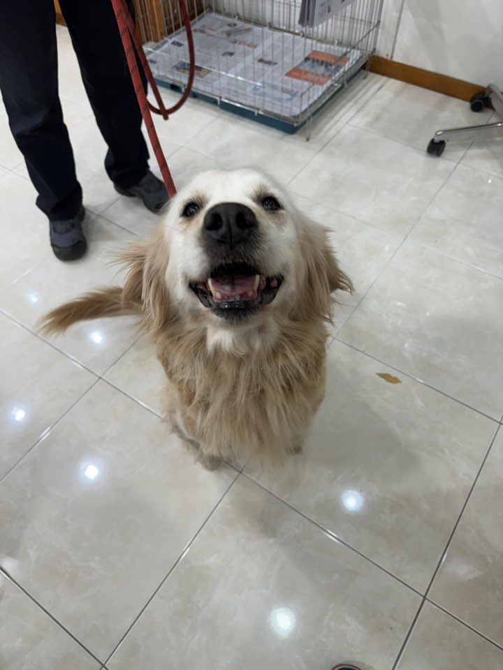 제니스동물병원_427346202301438