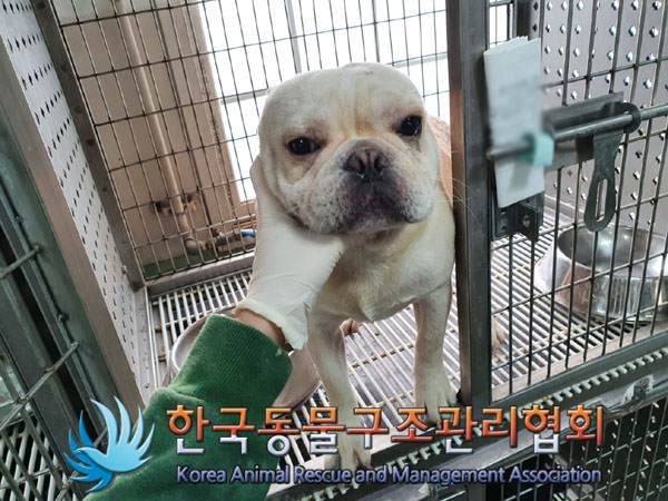 한국동물구조관리협회_441409202301884