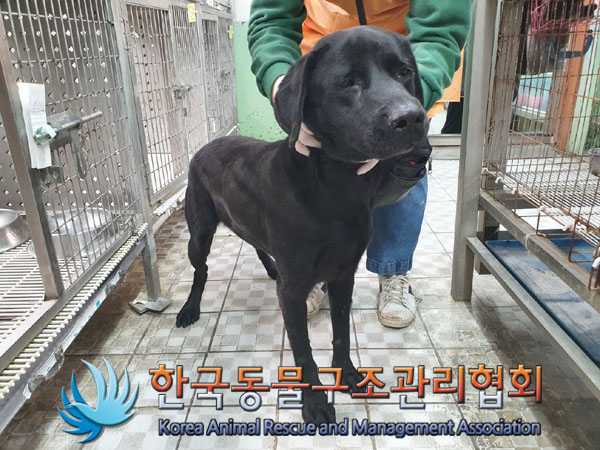 한국동물구조관리협회_411300202300478