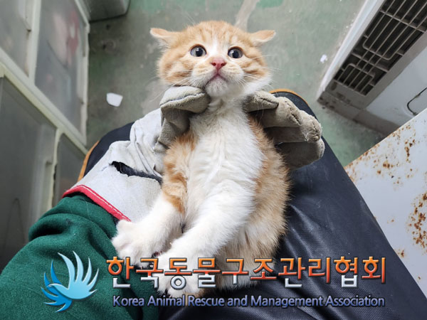 한국동물구조관리협회_441406202301831