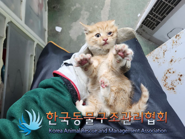 한국동물구조관리협회_441406202301830