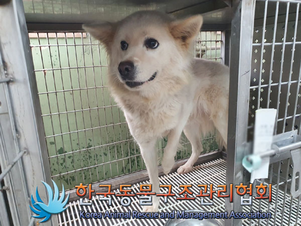 한국동물구조관리협회_441406202301829