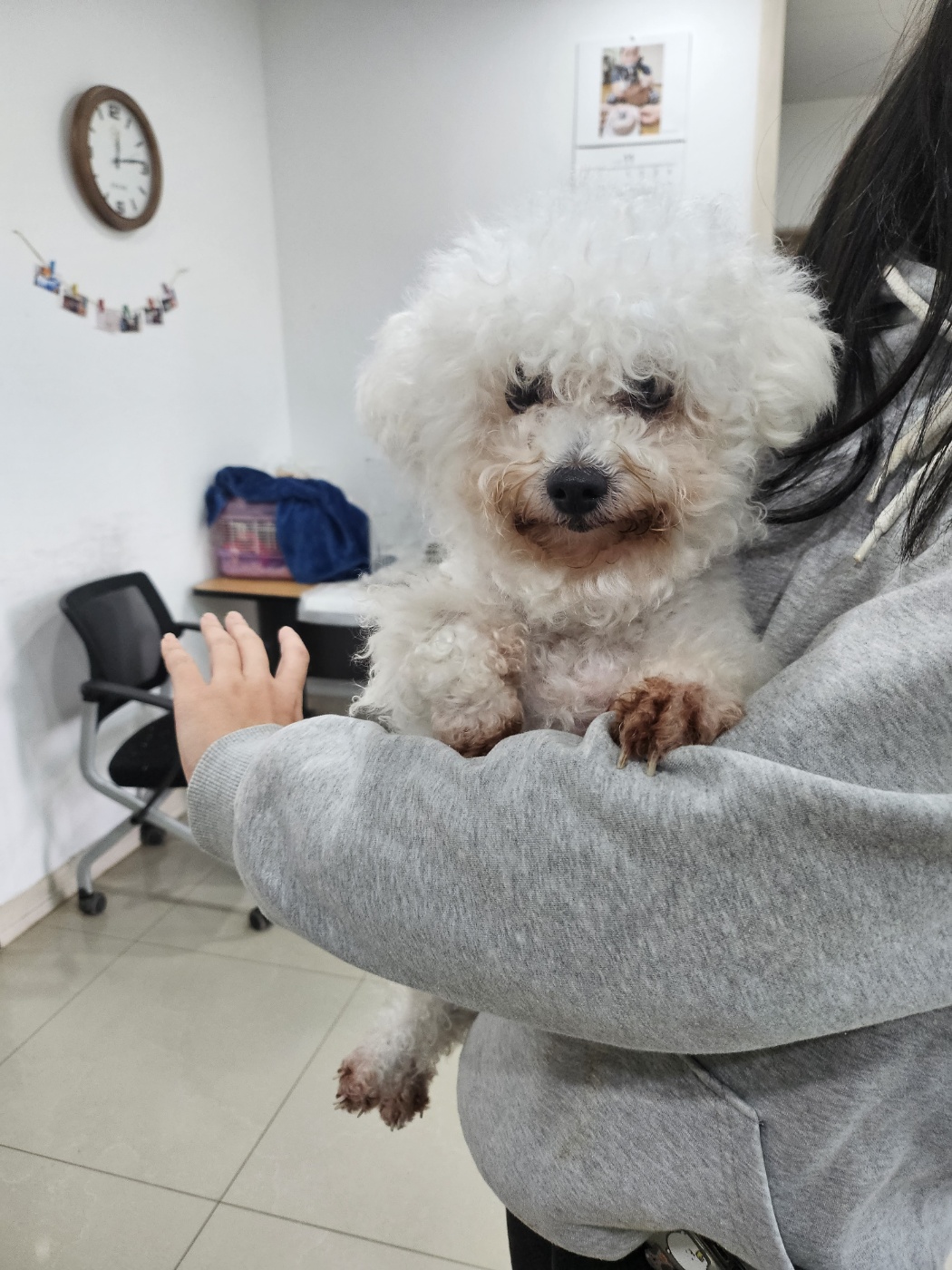 반려동물보호센터_443571202303231