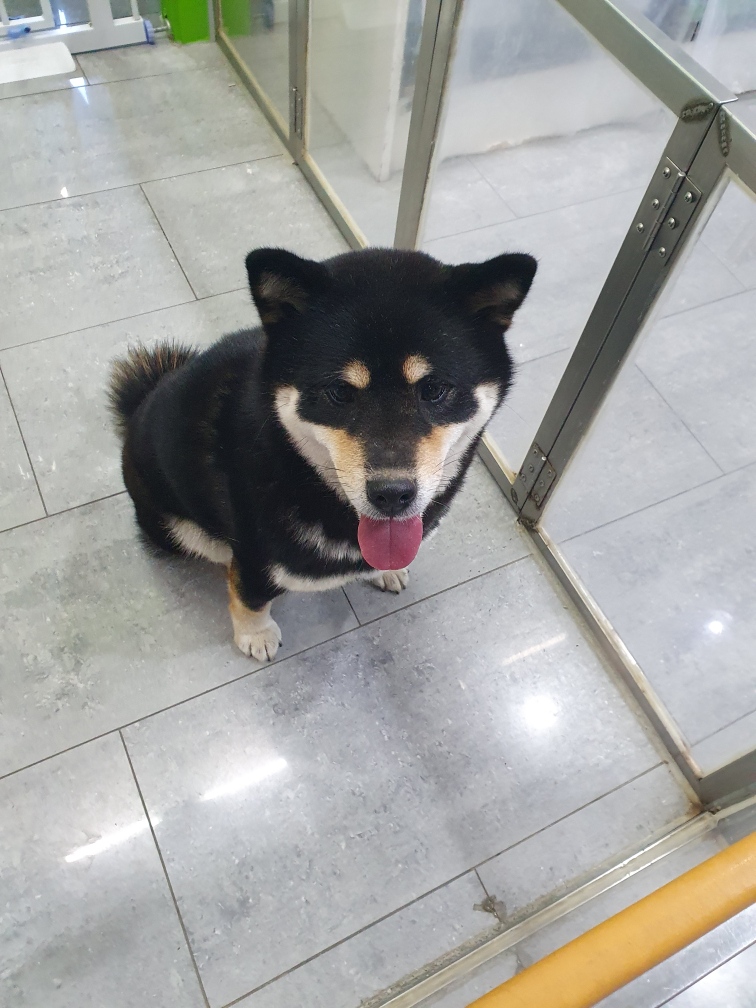 펫앤쉘터동물병원_441378202302037