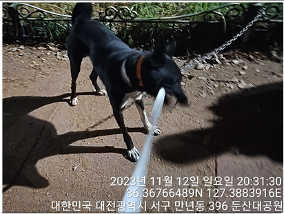 대전동물보호센터_430366202300650