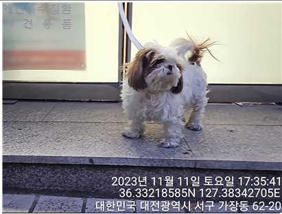 대전동물보호센터_430366202300648