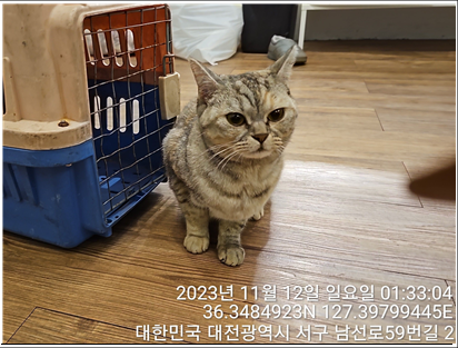 대전동물보호센터_430366202300649