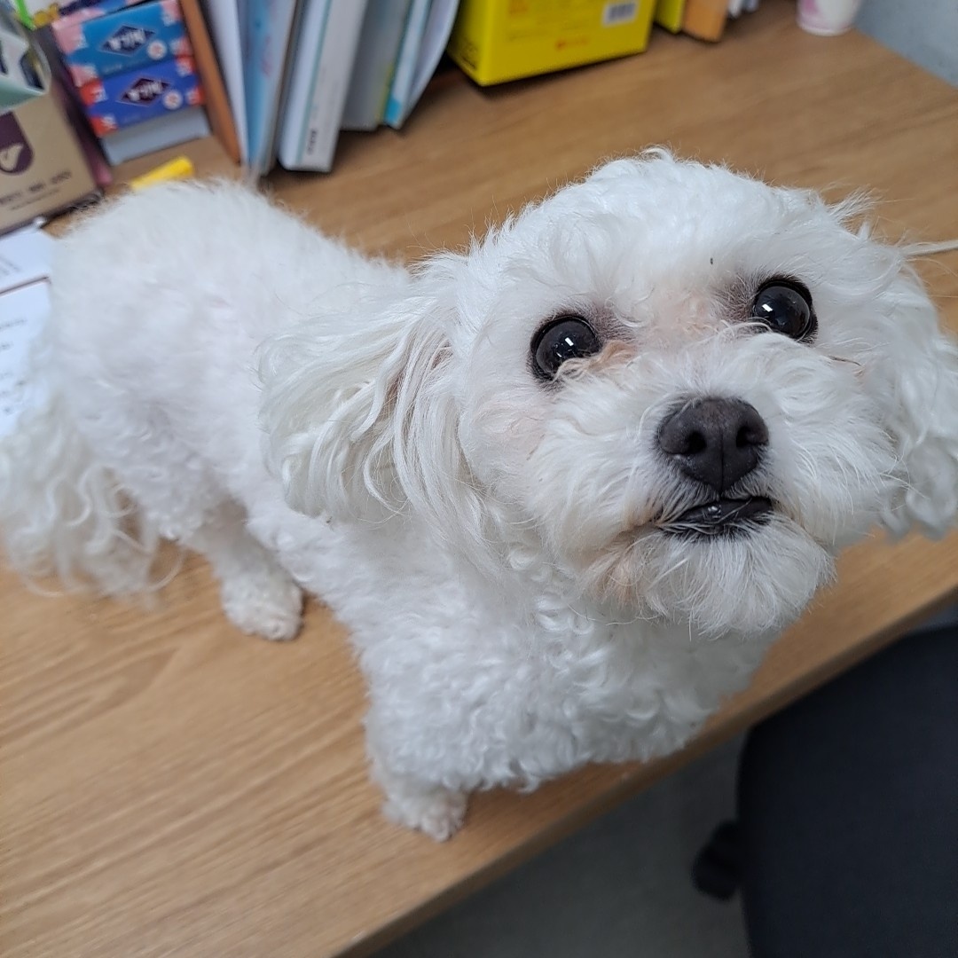 수원시 동물보호센터_441374202301406