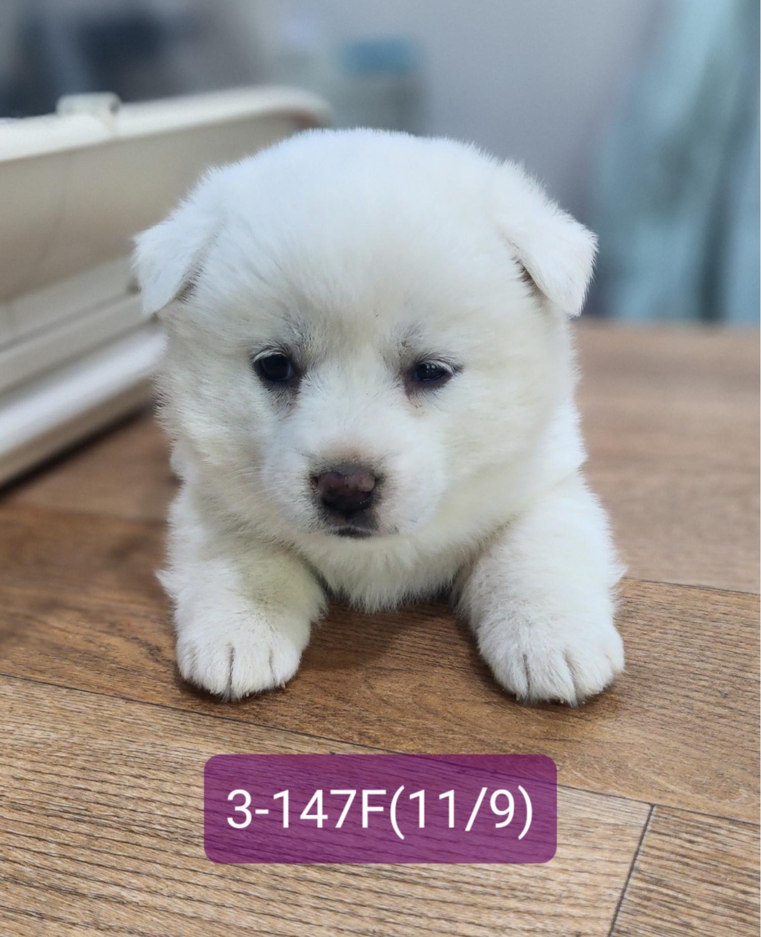 고성군유기동물보호소_448542202302353