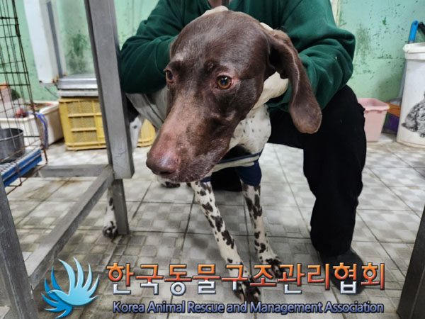 한국동물구조관리협회_411322202300827