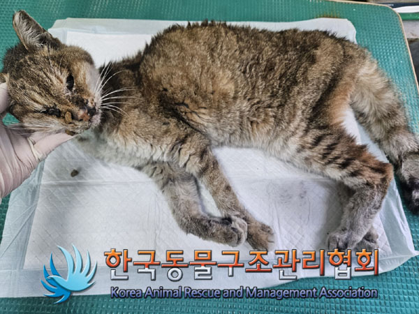 종료(자연사) 한국…