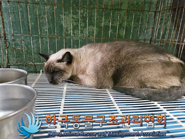 한국동물구조관리협회_411315202300728