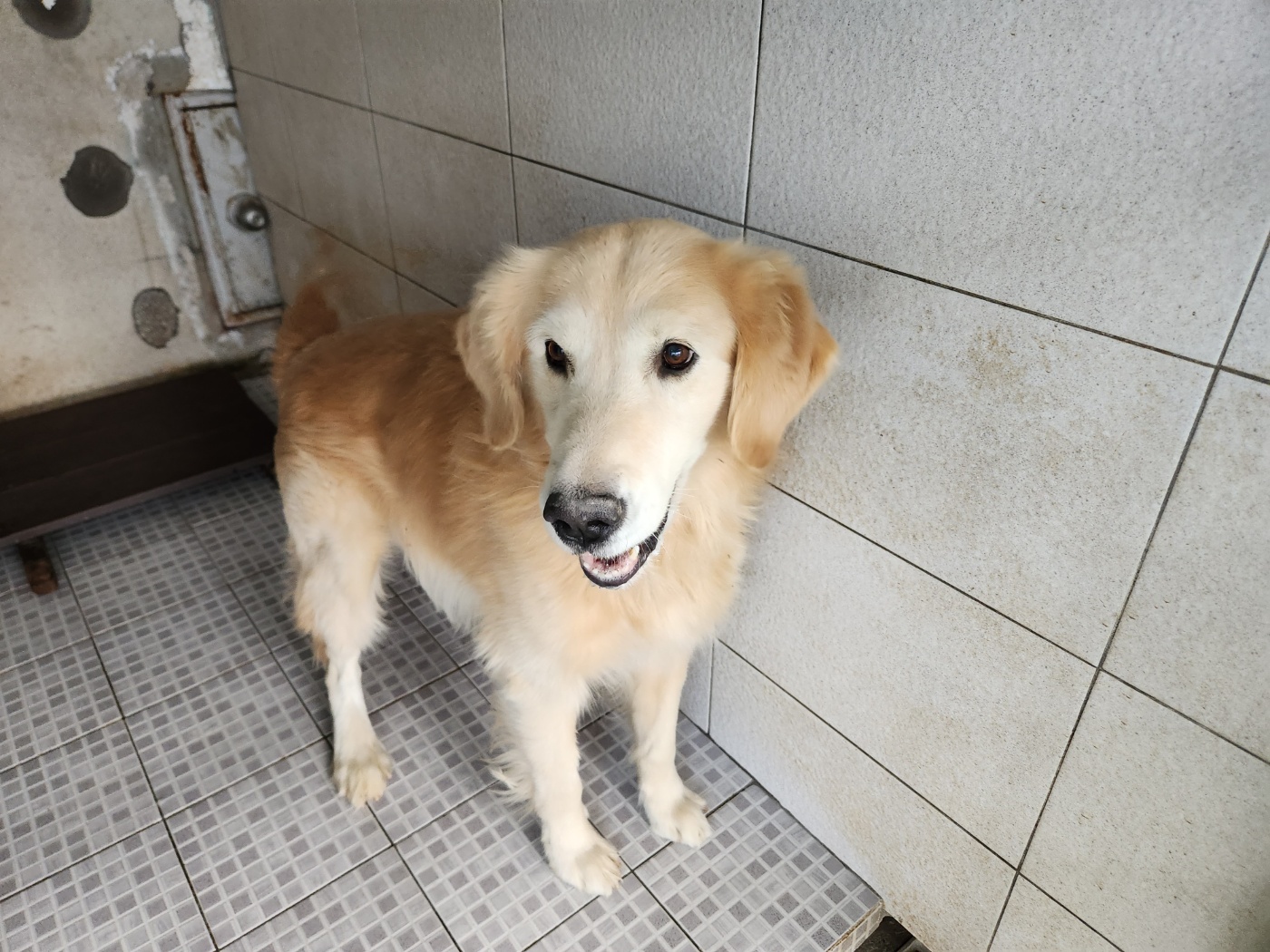 광주 동물보호소_429362202301078