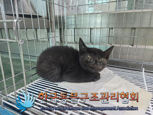 한국동물구조관리협회_441409202301887