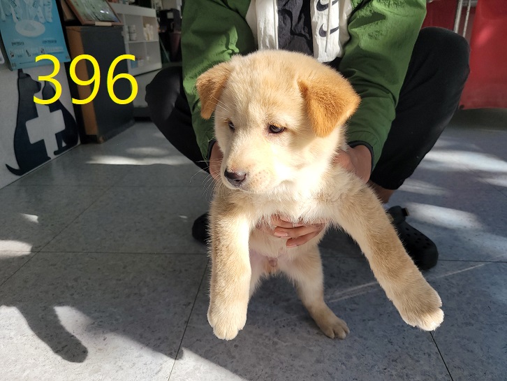 신영재동물병원_428355202300623