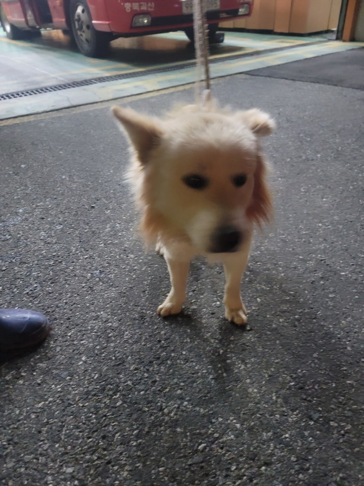 괴산증평동물보호센터_443446202300456
