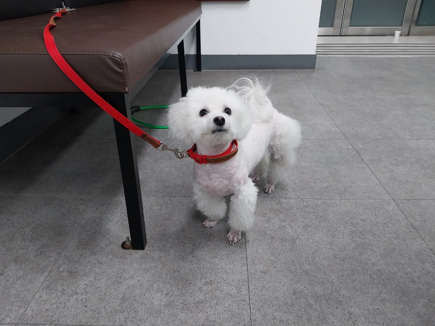 (사)영일동물플러스_447502202301439