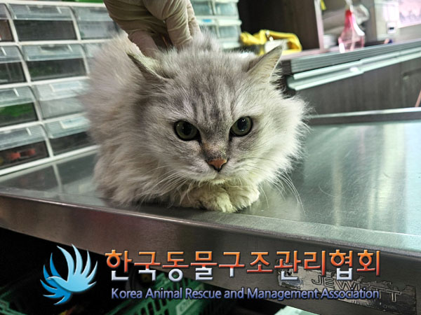 한국동물구조관리협회_441406202301857
